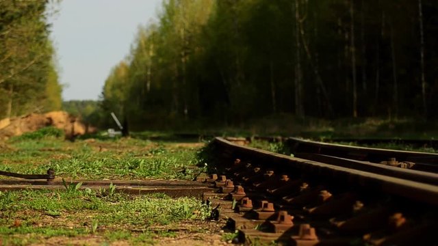 Abandoned railroad tracks in the forest 7.
