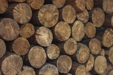 round pile of firewood