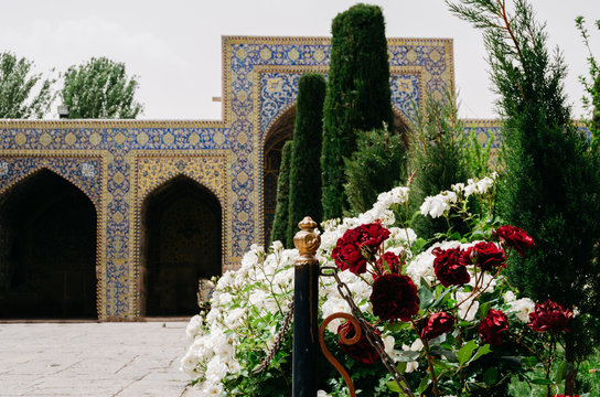White and red roses on a beautiful Iranian courtyard - selective focus on the foreground
