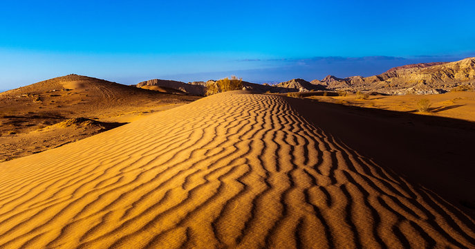 Wrinkled Sand