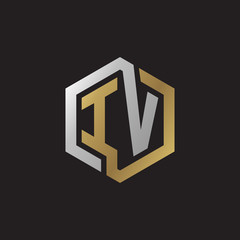 Initial letter IV, looping line, hexagon shape logo, silver gold color on black background