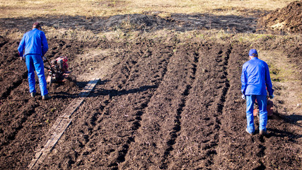 Worker with a machine cultivator digs the soil in the garden