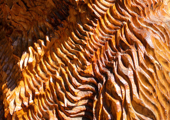 Wood carving is varnished as a background