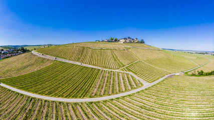 Schloss Johannisberg, Weinberge, Geisenheim, Rheingau, Hessen, Deutschland