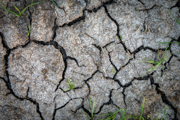 cracked earth surface