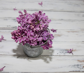 Flowers of lilac.White old background with space for text.Purple color.lilac in a small bucket