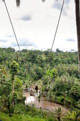 Young tourist woman swinging on the cliff in the jungle rainforest and river of a tropical Bali island. Swing among two palms tree. Back rear view