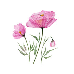Watercolor floral bouquet. Watercolor pink poppies. Floral decor for greeting card. Floral wedding design.
