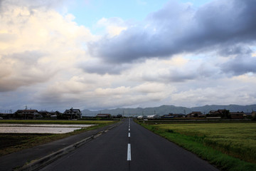 Fototapeta na wymiar Straight country road between green rice fields under cloudy sky
