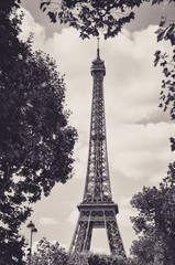 Fototapeta na wymiar The Eiffel Tower : a Famous Iron Sculpture, Symbol of Paris