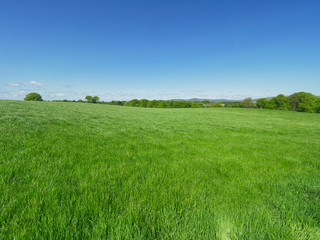 Fototapeta na wymiar Sunny spring countryside,Northern Ireland