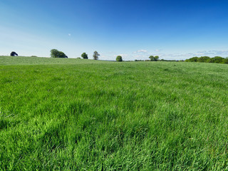 Sunny spring countryside,Northern Ireland