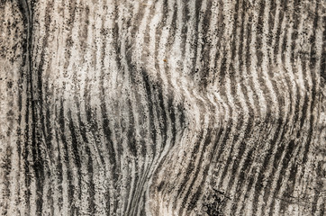 Abstract geometric contrast curved striped black and white background