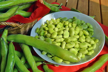 fave fresche ,sbucciate dentro ad un piatto, a fianco le fave con la buccia