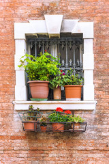 Fototapeta na wymiar window with flowers in Venice, Italy