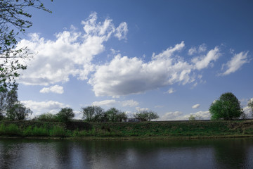 Obraz premium forest reflected in the lake