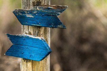 Follow the blue wooden arrow.