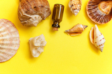 Tropical Background. Seashell and glass bottle on yellow colourful trendy modern fashion background. Vacation travel summer weekend sea adventure trip concept
