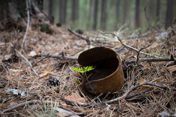 Rusty jar in the grass. Green sprout breaks through the rusty iron jar. The concept of environmental protection. Life force. Danger of wreckage in nature. Clogging the environment.5