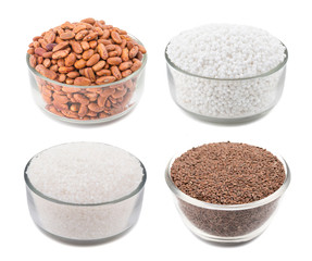 Collage of Seeds Food in Red Kidney Bean, Sago, Sugar or Flax Seed isolated on White Background