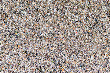Background of sand and pieces of shells on beach
