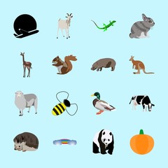 Obraz premium animals icons set