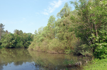 loing river banks and nature reserve of the Sorques plain in Île de France