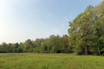 Obraz premium Nature reserve of the Sorques plain in Île de France