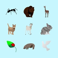 Obraz premium animals icons set