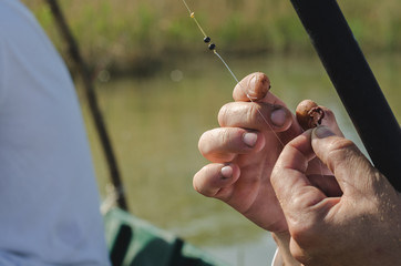 Putting the bait on the hook