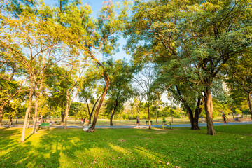 Landscape of central green park summer scene