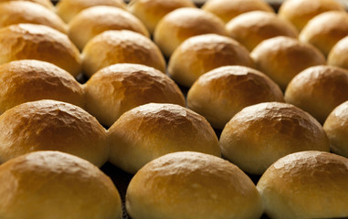 freshly baked, warm and delicious small breads