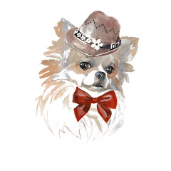 Chihuahua dog  - hand painted, isolated on white background watercolor fashion cute dog portrait