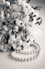 A wedding bouquet of white freesias with a decorative butterfly and string of pearls. Black and white.