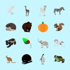 Obraz premium animals icons set