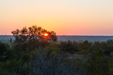 Sunrise over the Kruger park, South Africa.