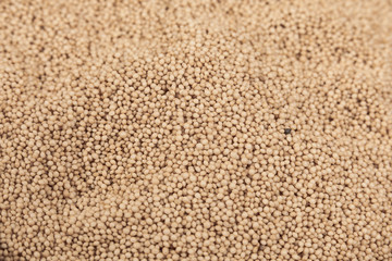 Raw Organic Amaranth Grain - Amaranthus
