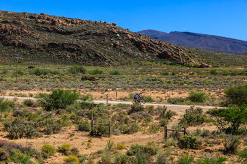Fototapeta na wymiar The Karoo desert is very dry and arid with minimum rainfall but succulent plants and trees thrive. Breede River D.C, South Africa.