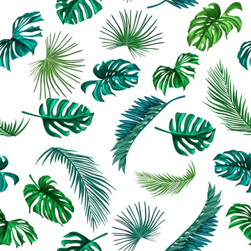 Vector tropical leaves summer seamless pattern © belokrylowa