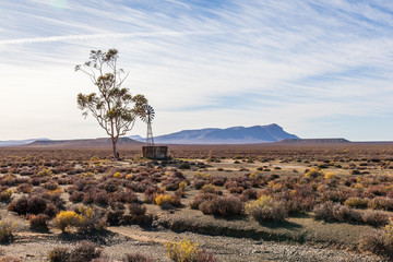 A single tree grows next to a water tank in the Karoo, Breede River D.C, South Africa.