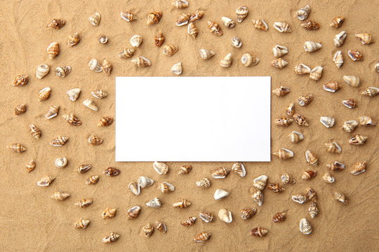 White empty frame on sand with sea shells as background. Blank card on beach sand with small shells texture.