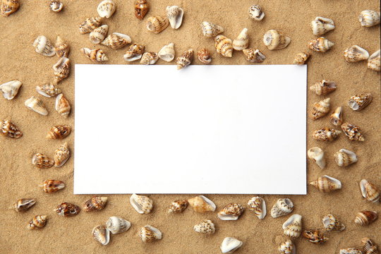 White empty frame on sand with sea shells as background. Blank card on beach sand with small shells texture.