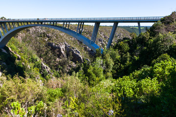 The bloukrans bridge in South Africa.