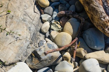 driftwood, washed up by the sea on a pebble beach