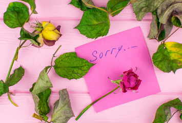 A paper with the inscription: Sorry. On a wooden background with a dry rose and leaves.