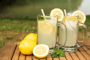 Lemonade By The Lake In Summer