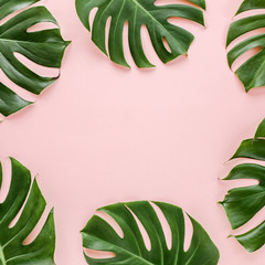 Tropical palm leaves Monstera on pink background. Flat lay, top view minimal concept. © K.Decor