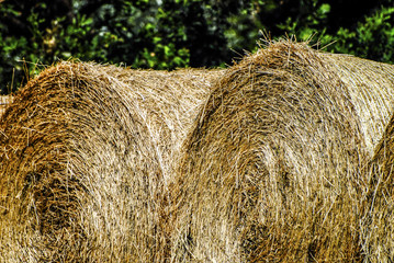BALLE DI FIENO, Hay