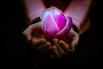 Fairytale magnolia flower luminous in child's hands in the dark night