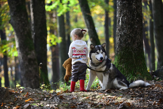 Little girl with dog walking in forest